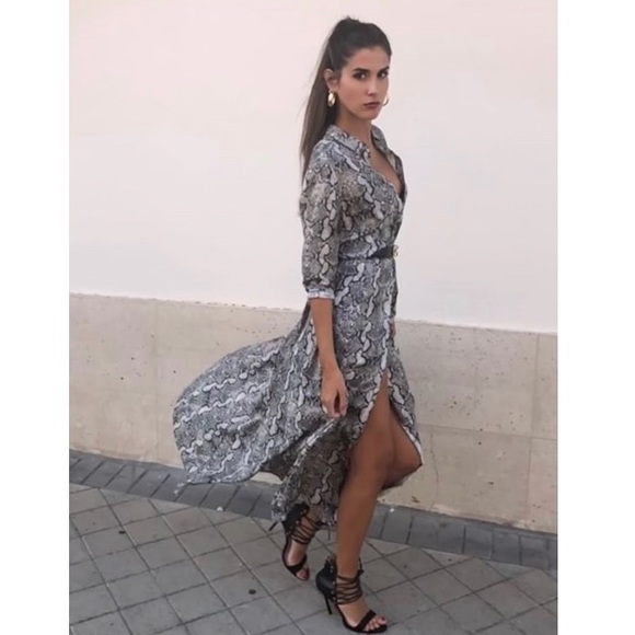 Button Down Snake Print Dress - Picture 2 of 3